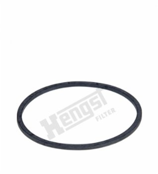 Hengst Dichtung H10KDIN-11