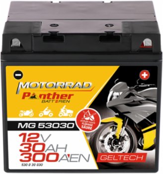 Panther Batterie GEL MG53030 12V 30Ah 300A/EN