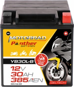 Panther Batterie GEL YB30L-B 12V 30Ah 385A/EN