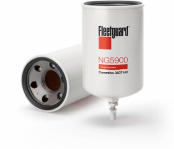 Fleetguard Gasfilter NG5900