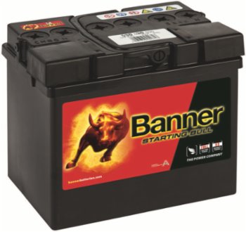 Batterie 12V 30Ah 300A Starting Bull