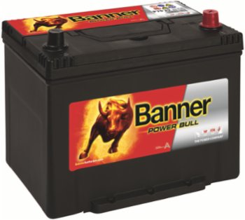 Banner Batterie 12V 70Ah 600A/EN Power Bull