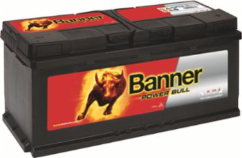 Banner PROfessional 12V 110Ah 900A Power Bull